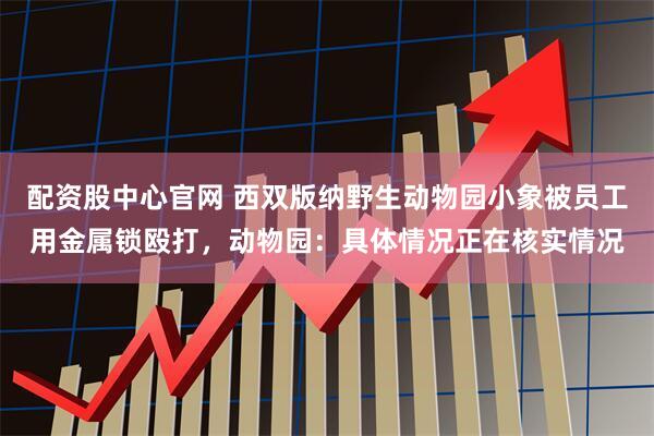 配资股中心官网 西双版纳野生动物园小象被员工用金属锁殴打，动物园：具体情况正在核实情况