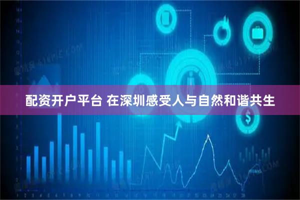 配资开户平台 在深圳感受人与自然和谐共生